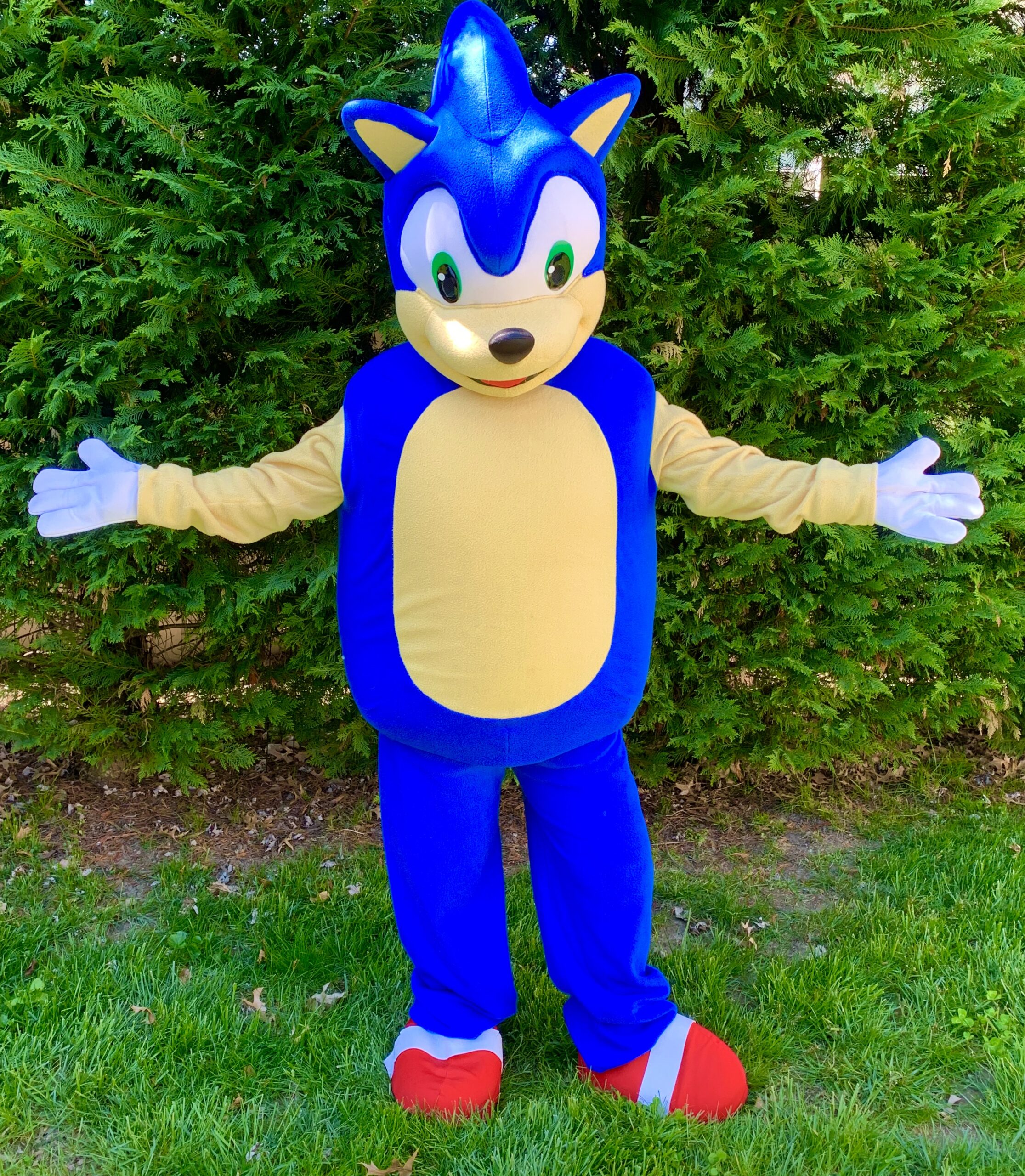 Sonic - Birthday Party Characters For Kids